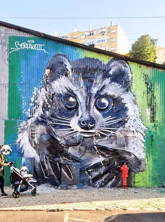 Big Raccoon